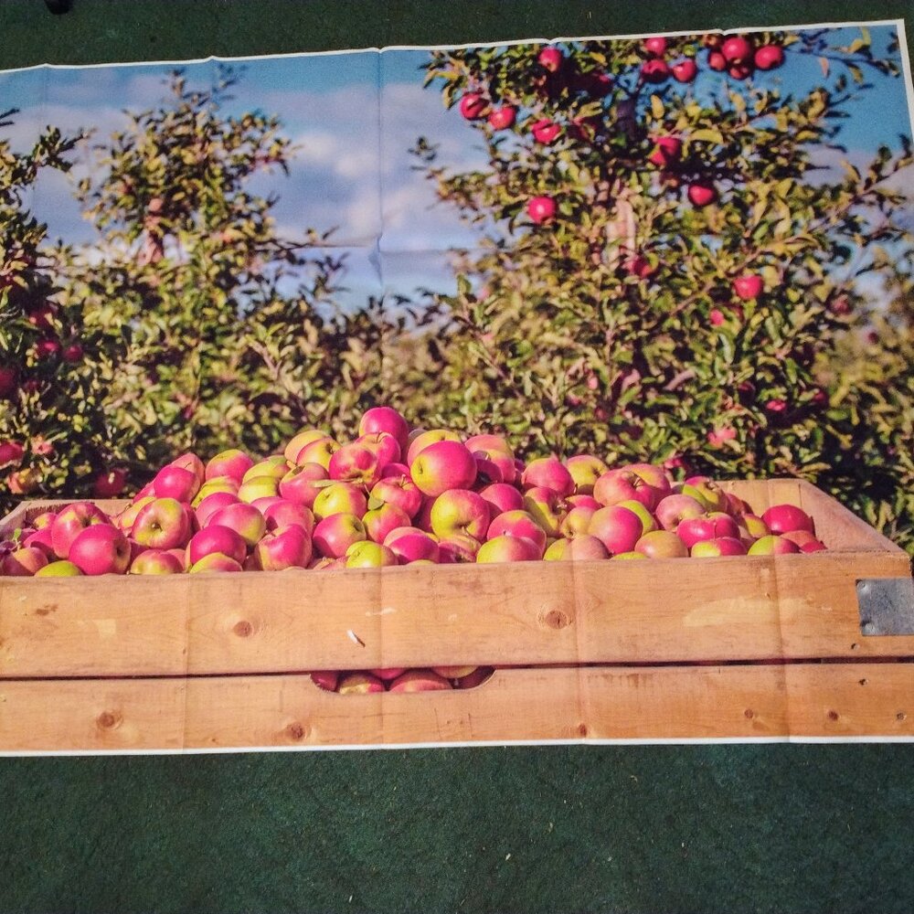 Photo backdrop/banner